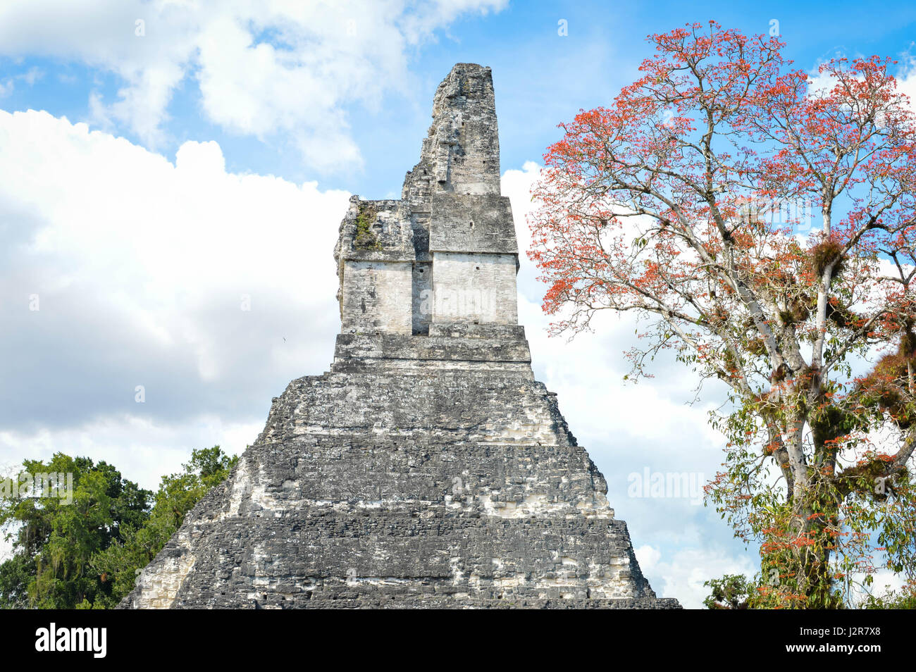 Je temple du site archéologique maya au parc national de Tikal, Guatemala Amérique centrale. Banque D'Images
