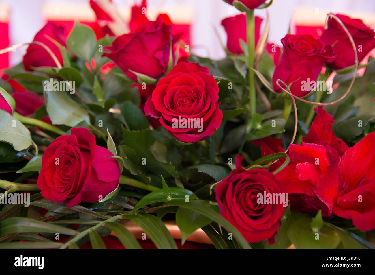 Bouquet de roses et lys rouge pour table de fête close-up Banque D'Images