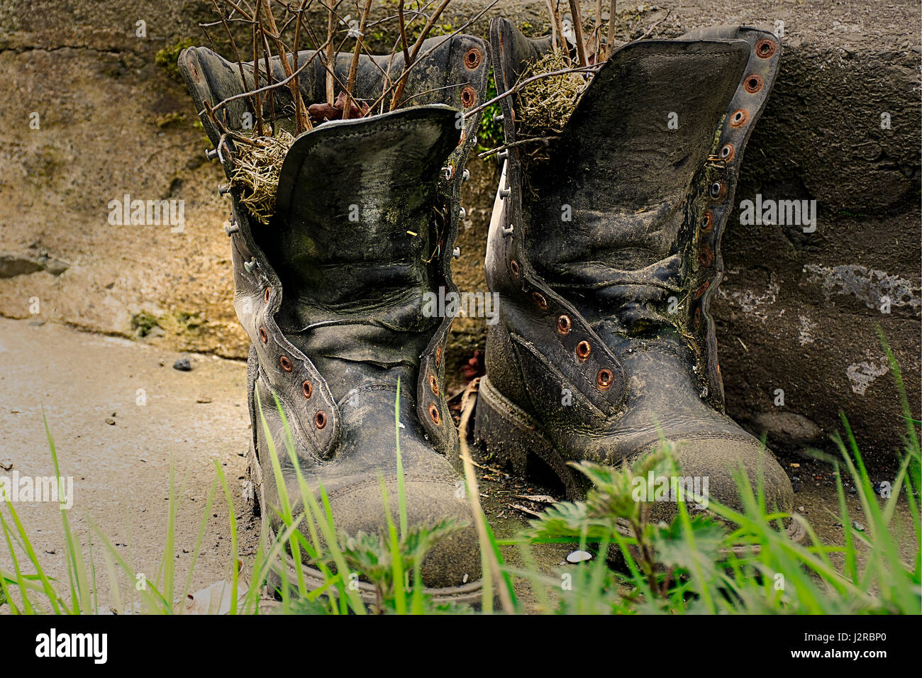 Old shoes,décoration de jardin,utilisé comme pot pour herbes.Le nord du Pays de Galles, Royaume-Uni campagne.La vie rurale Uk.La campagne au printemps.Jardin. Banque D'Images