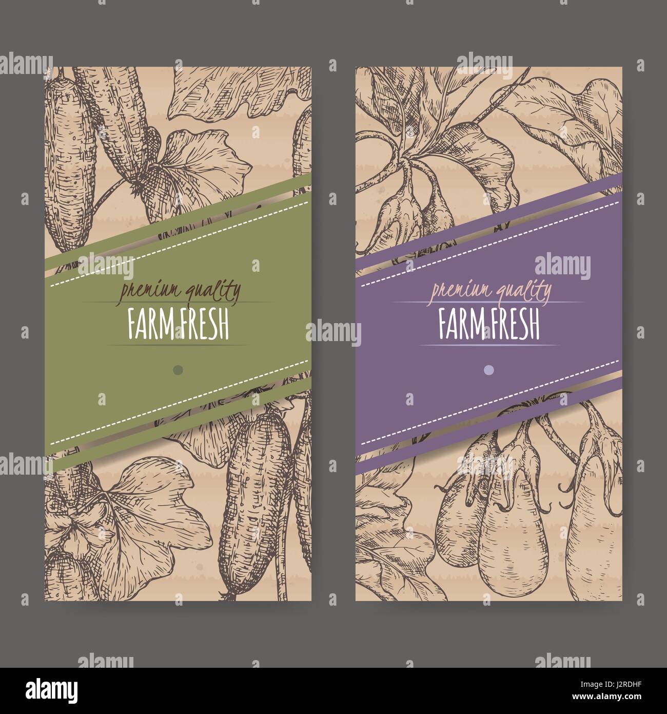 Deux étiquettes avec des concombres et aubergines sur carton texture. Illustration de Vecteur