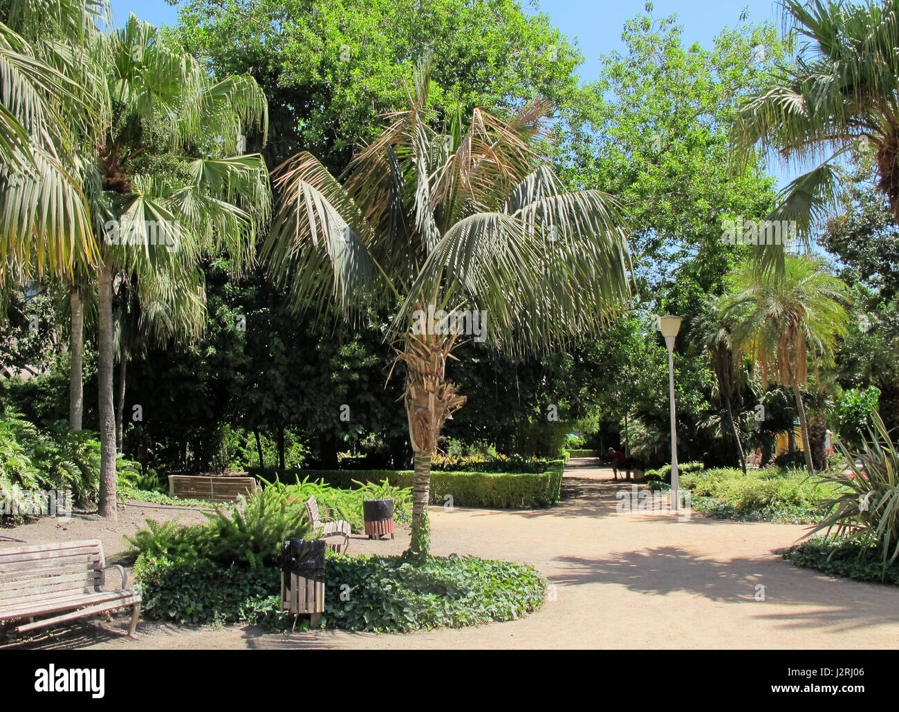 Paseo del Parque de Málaga, la province de Malaga, Andalousie, Costa del Sol, Espagne, Europe Banque D'Images