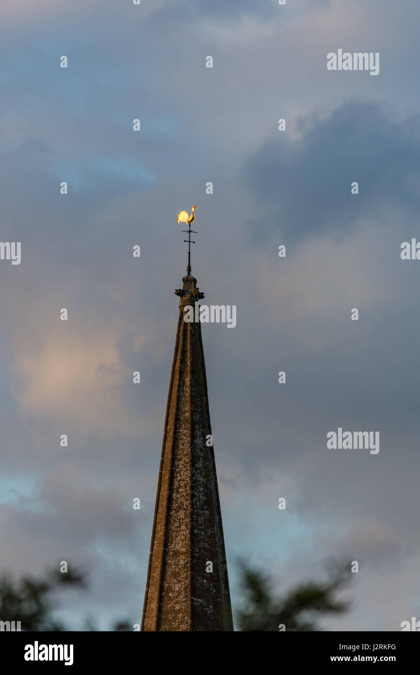 Soleil du soir sur la girouette de l'église Saint-Laurent, Mickleton, Gloucestershire Banque D'Images