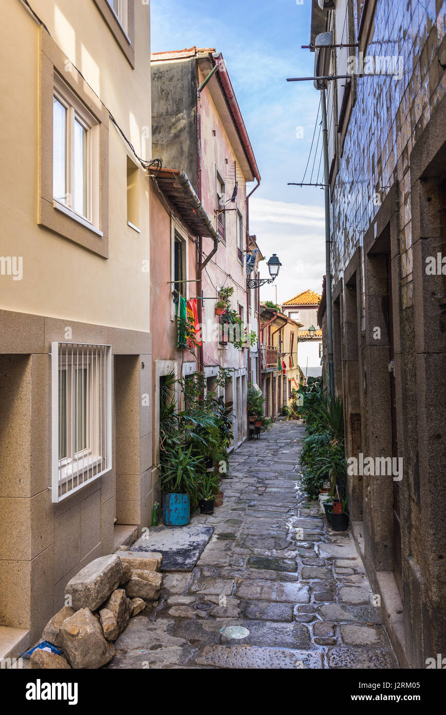 Rue étroite avec les pots de fleurs dans le quartier Ribeira dans l'ancienne partie de la ville de Porto sur la péninsule ibérique, deuxième plus grande ville du Portugal Banque D'Images