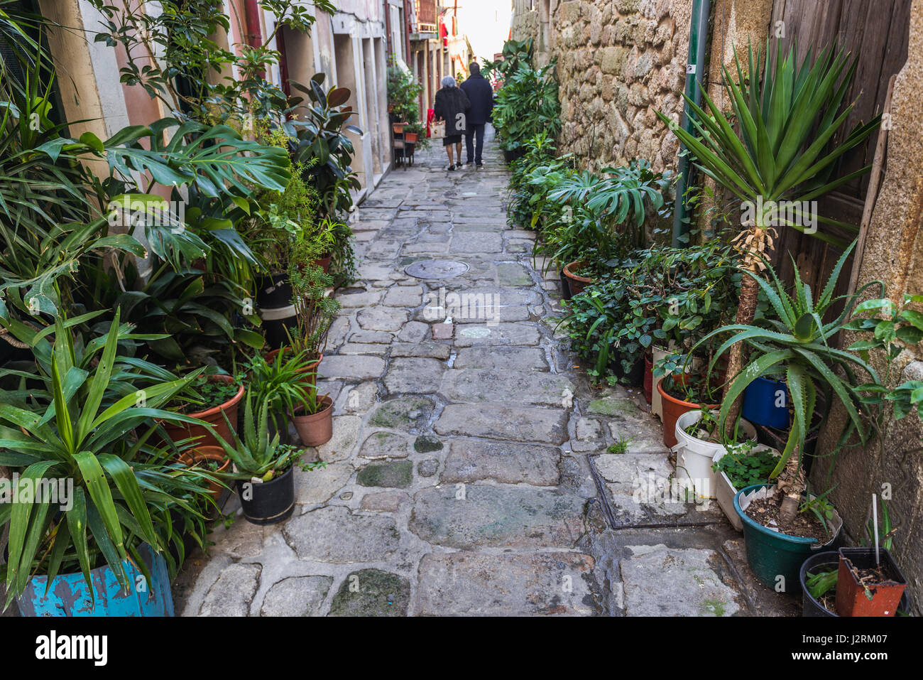 Les pots de fleurs sur une rue étroite dans le quartier Ribeira dans l'ancienne partie de la ville de Porto sur la péninsule ibérique, deuxième plus grande ville du Portugal Banque D'Images