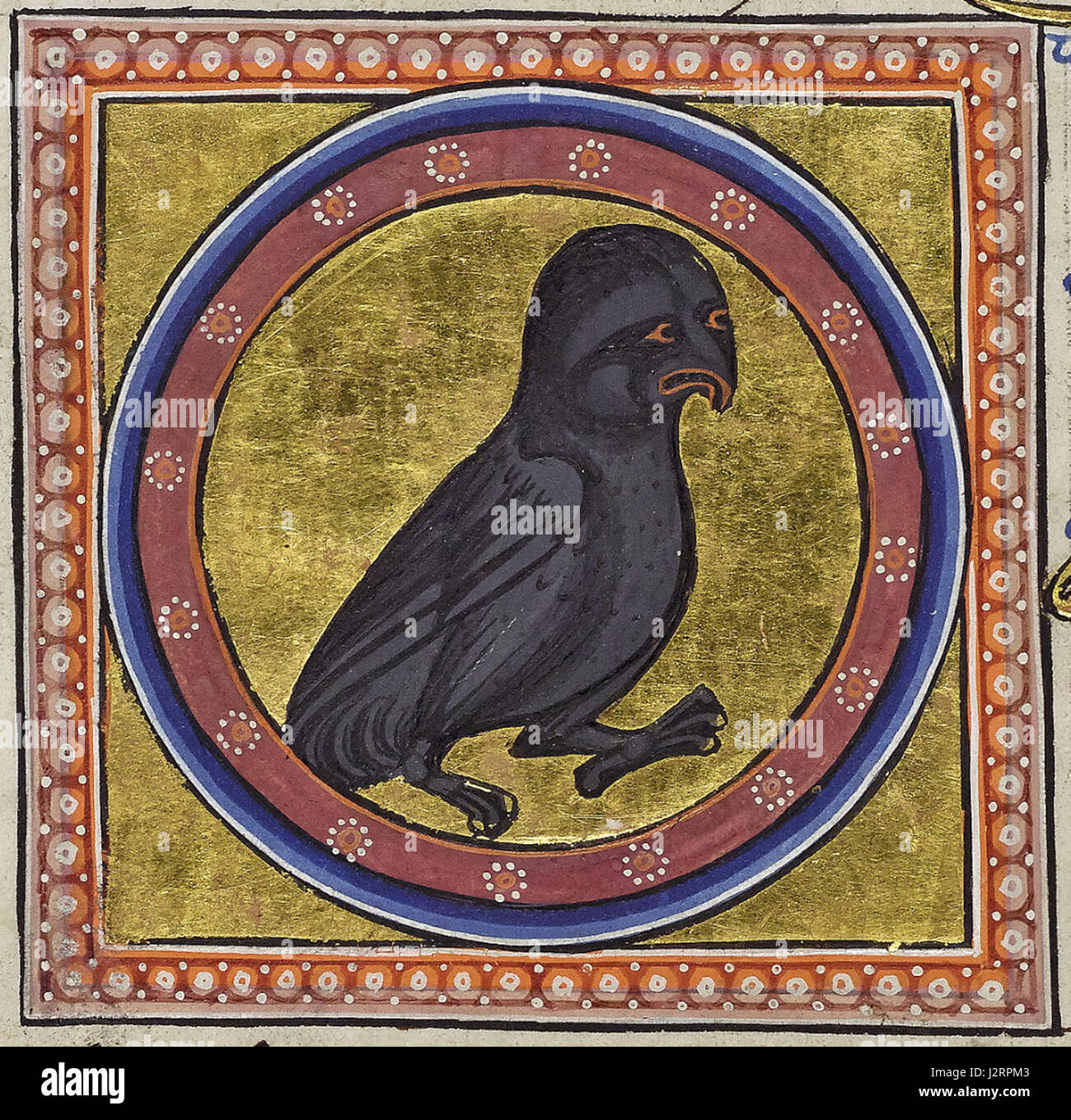 Aberdeen Bestiary, Folio 35v - le pélican. De nicticorace ; le hibou de nuit. L'espèce n'est pas clairement définie car l'artiste a essayé de combiner un visage et un bec hiboux avec la noirceur d'un corbeau. Le hibou de grange, le hibou tawny et le petit hibou peuvent vivre dans de vieux bâtiments ou des ruines Banque D'Images Aberdeen Bestiary, Folio 35v - le pélican. De nicticorace ; le hibou de nuit. L'espèce n'est pas clairement définie car l'artiste a essayé de combiner un visage et un bec hiboux avec la noirceur d'un corbeau. Le hibou de grange, le hibou tawny et le petit hibou peuvent vivre dans de vieux bâtiments ou des ruines Banque D'Images