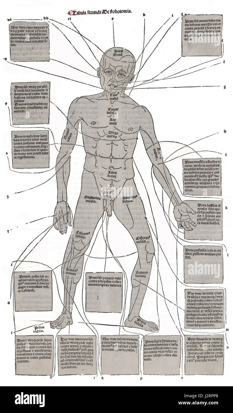 Un diagramme du corps humain (anatomie humaine pour les étudiants et les médecins (1919) Banque D'Images