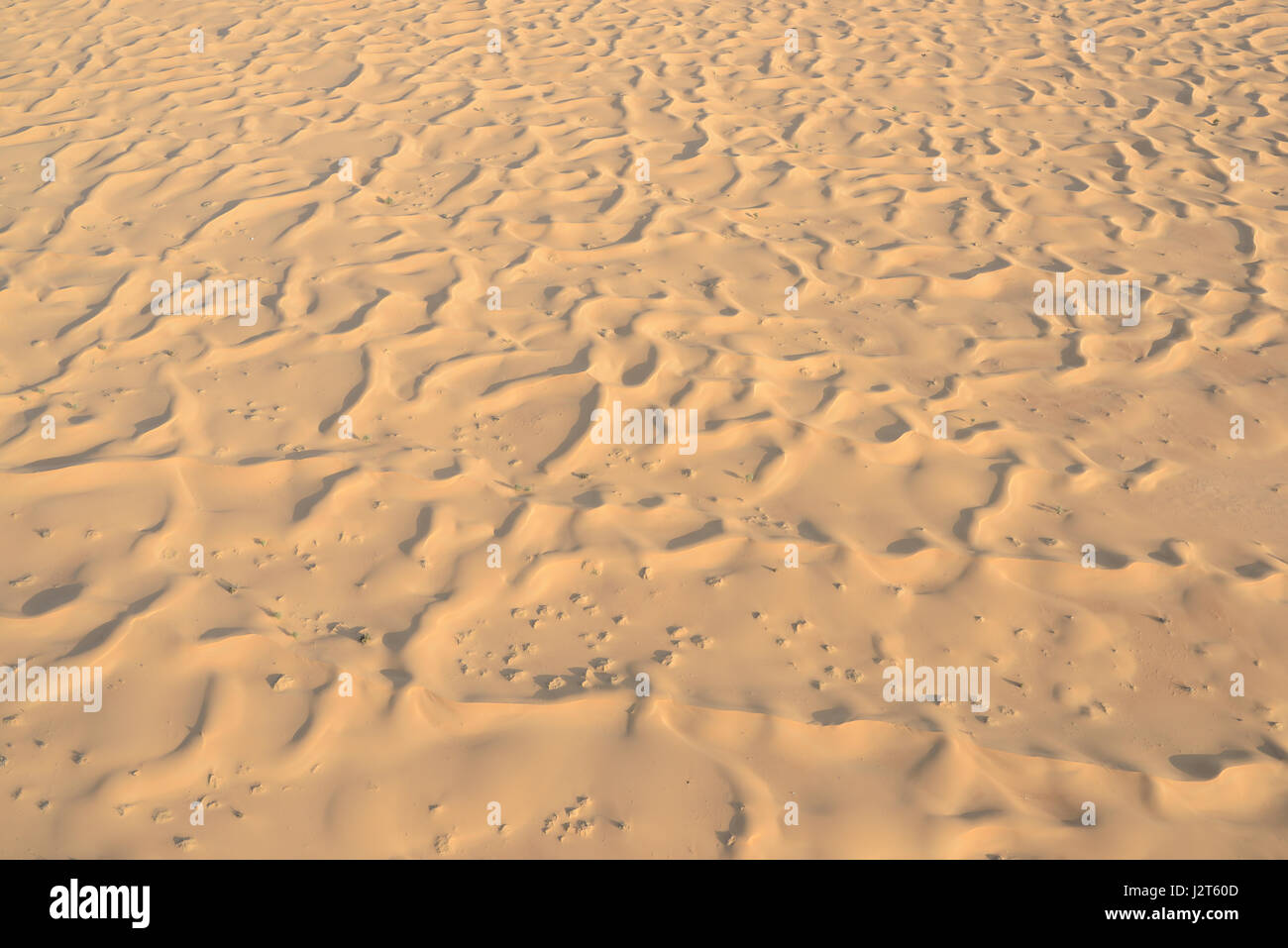 VUE AÉRIENNE.Désert arabe dans la lumière du matin.Margham, émirat de Dubaï, Émirats arabes Unis. Banque D'Images