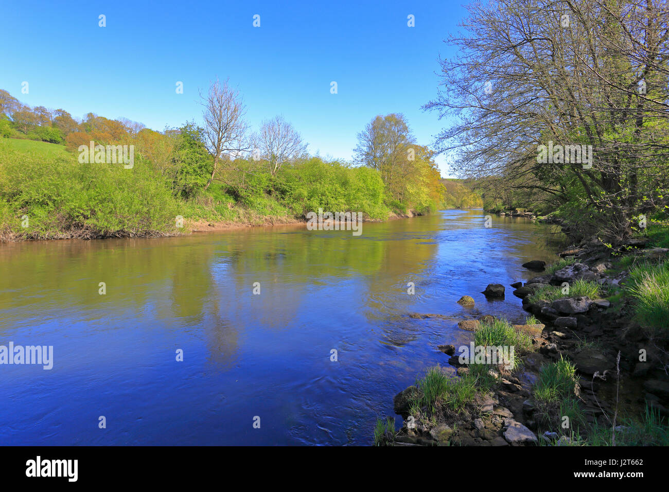 L'eau Stanley trajet sur la rivière Severn, un des plus prolifiques pour l'huile de pêche barbillon, Shropshire, England, UK. Banque D'Images
