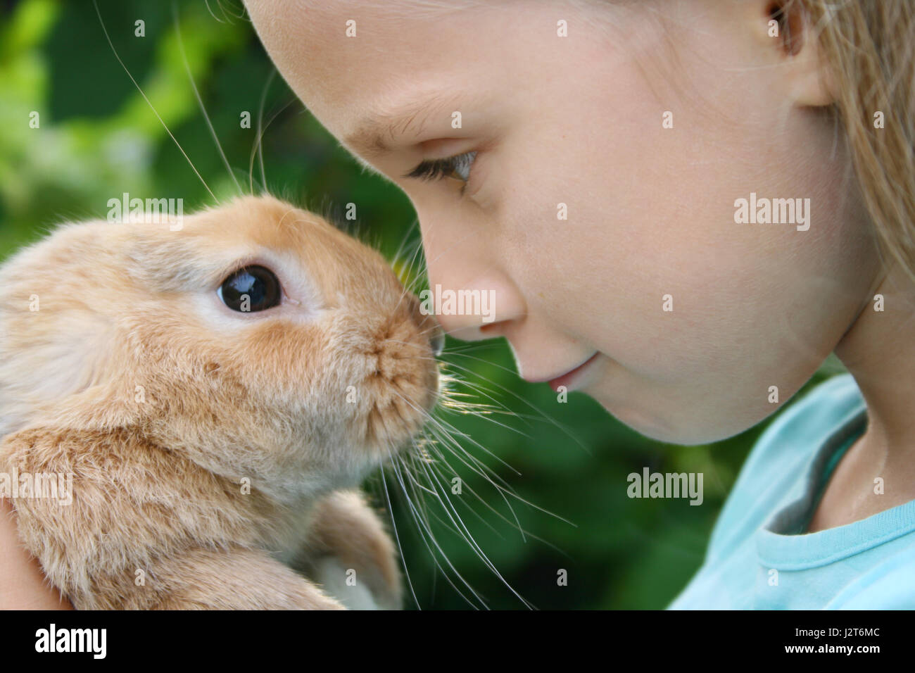 Une petite fille possède un jeune lapin nain Banque D'Images