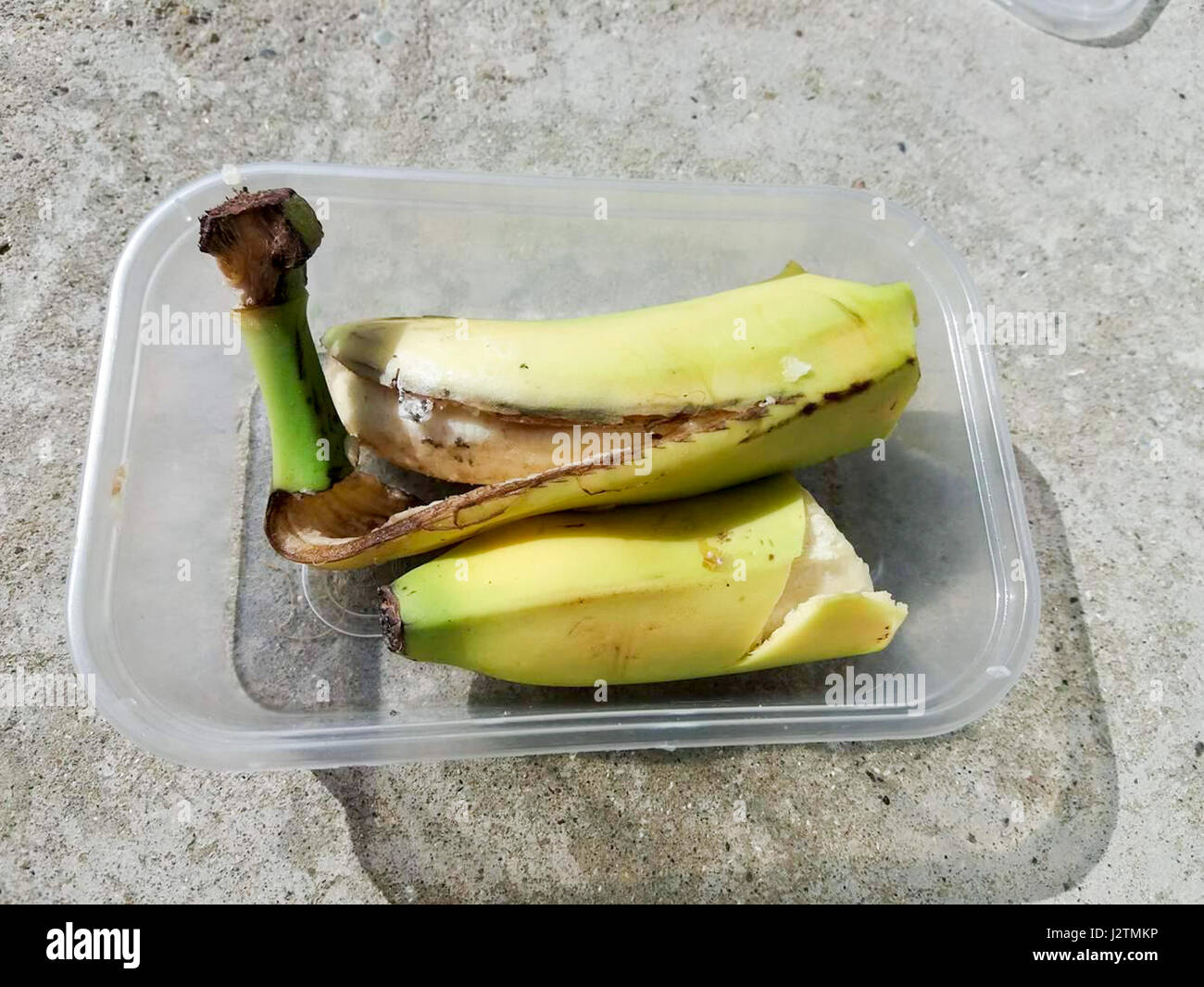 Gemma A Partir De La Stanley County Durham Avait Echappe De L Errance Du Bresil A Partir De L Araignee Banane Du Costa Rica Achete De L Asda Lundi Dernier Mardi Soir Gemma Avait