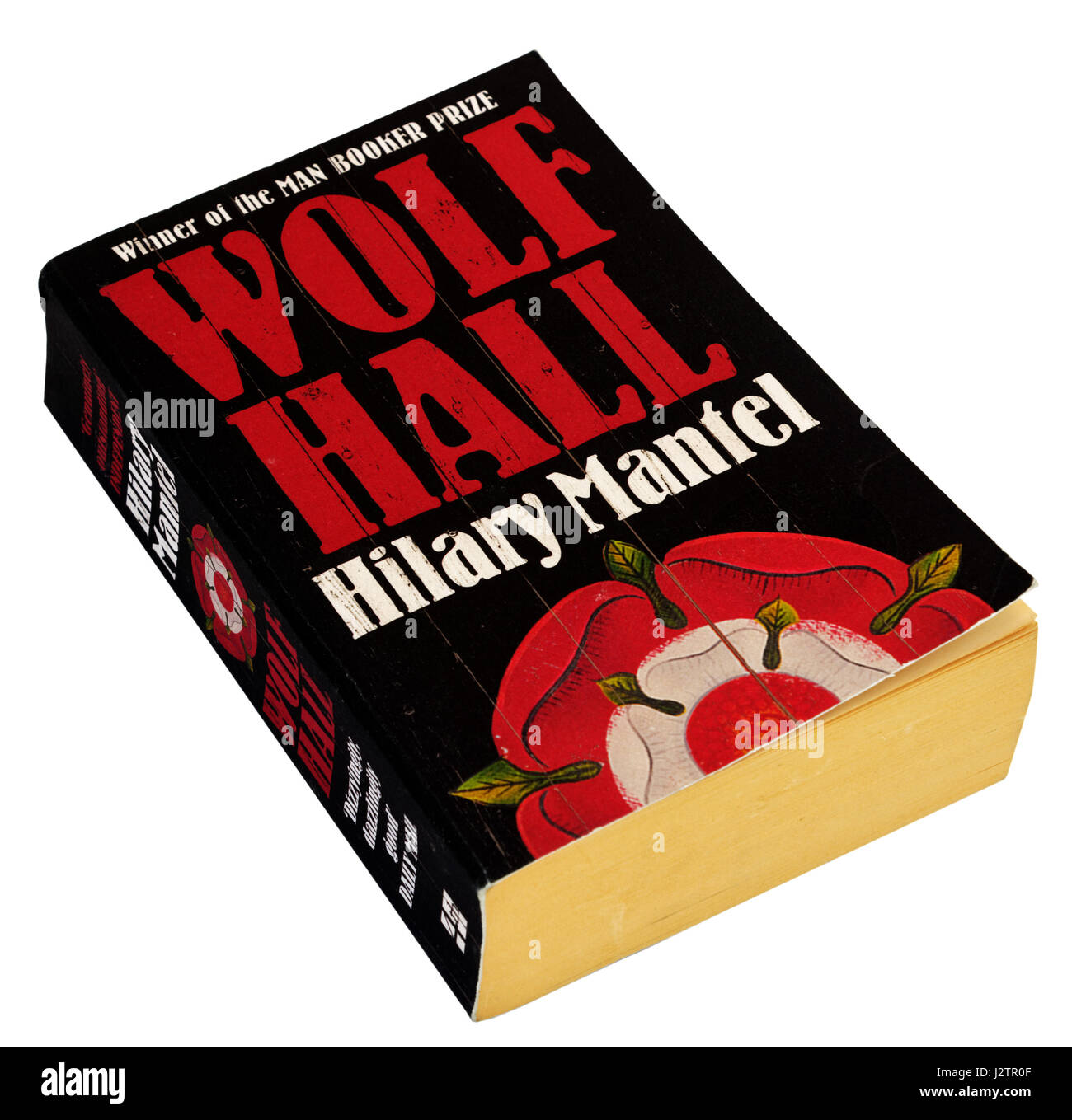 Wolf Hall par Hilary Mantel Banque D'Images