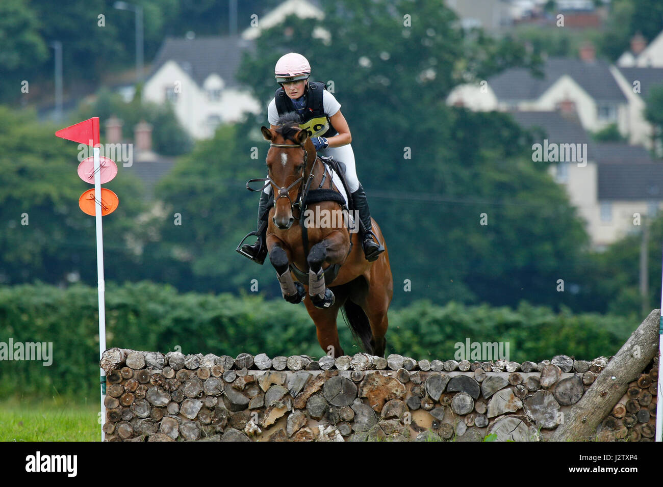 Cheval de saut d’obstacles Banque D'Images