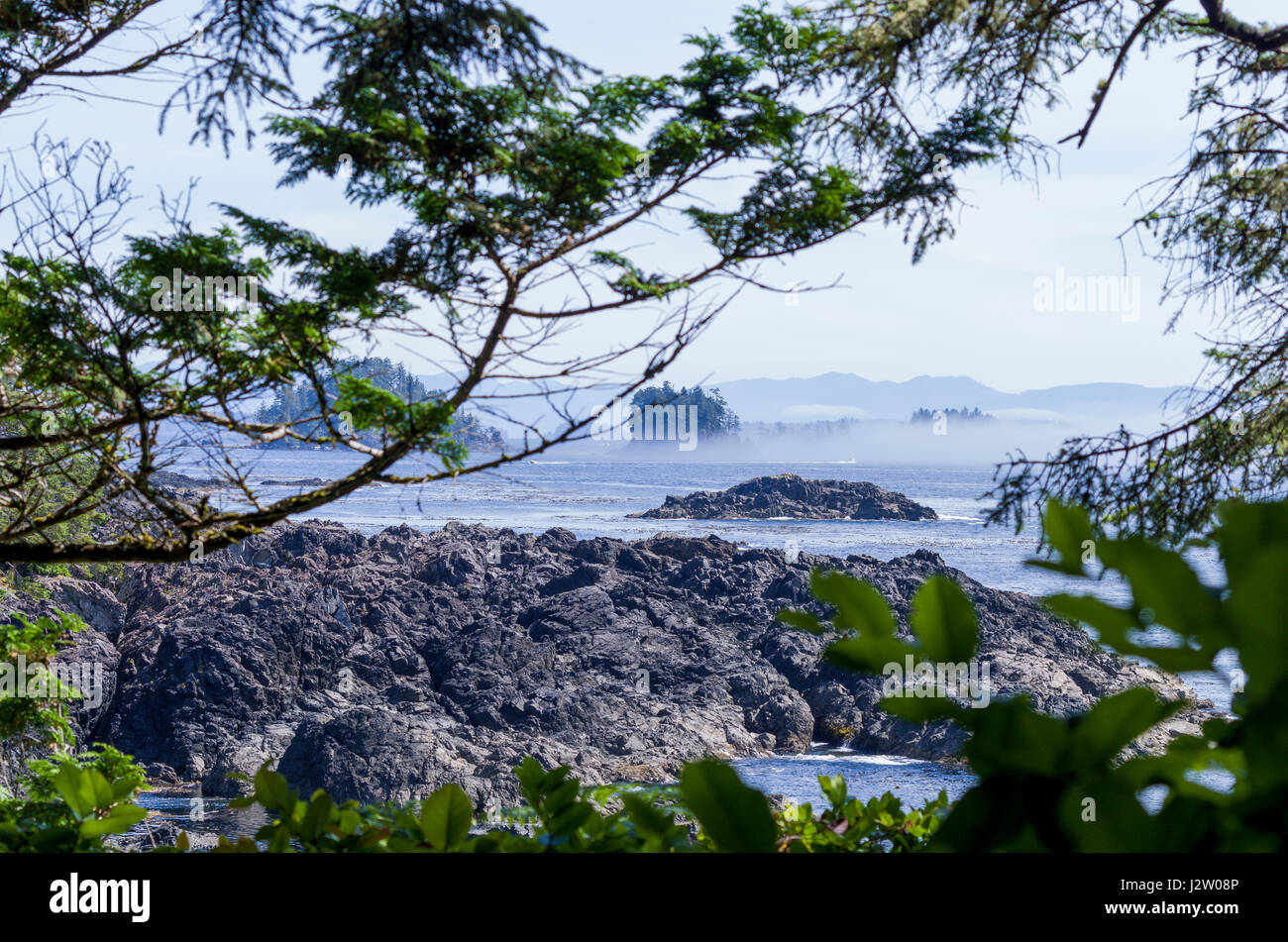 Côte d'Ucluelet, Vancover Island (Colmbia Canada Banque D'Images