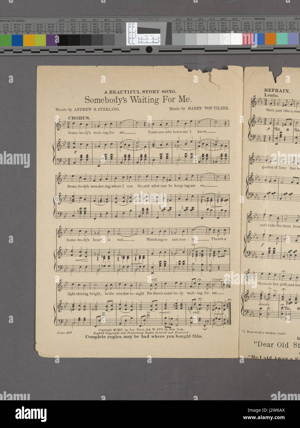 Cette image, intitulée 'Une Rose avec une tige cassée', représente la nature délicate et symbolique de la fleur, représentant souvent la fragilité ou l'imperfection. Il fait partie de la collection de la New York public Library, symbolisant à la fois beauté et vulnérabilité. Banque D'Images