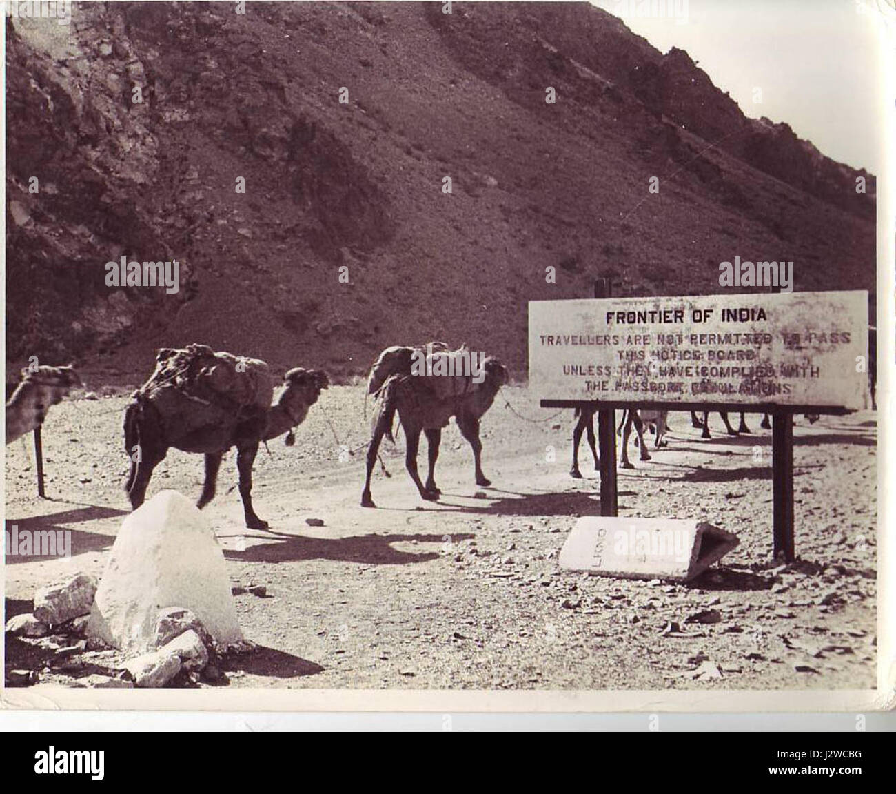 Une caravane de chameaux traverse le col de Khyber au début des années 1940, une route importante reliant l'Afghanistan et le Pakistan à l'Inde. Ce passage était historiquement important pour le commerce et les mouvements militaires. Banque D'Images