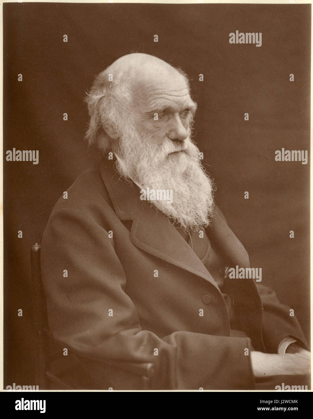 Cette photographie, prise par Leonard de Woodall en 1878, représente Charles Darwin, naturaliste de renom, connu pour sa théorie de l'évolution par sélection naturelle. L'image donne un aperçu de sa vie et de ses contributions à la science. Banque D'Images