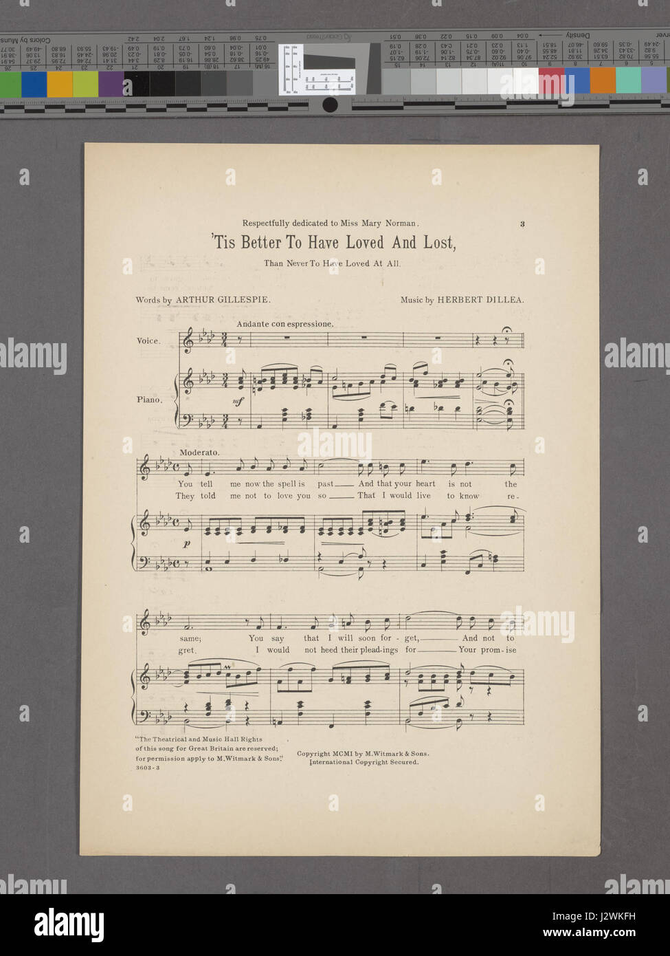 Cette citation, « il vaut mieux avoir aimé et perdu que de ne jamais avoir aimé du tout », est souvent attribuée à Alfred Lord Tennyson. Il explore la profondeur émotionnelle de l'amour et de la perte, encapsulant la réflexion philosophique sur l'expérience humaine. Banque D'Images
