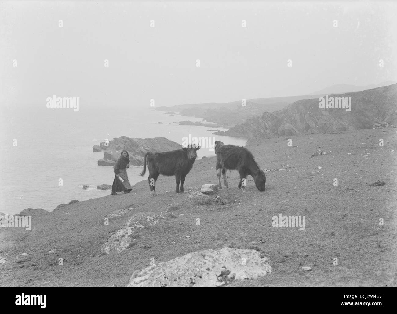 Achill Island est la plus grande île au large de la côte irlandaise, située dans le comté de Mayo, connue pour ses paysages époustouflants et son patrimoine culturel. Banque D'Images