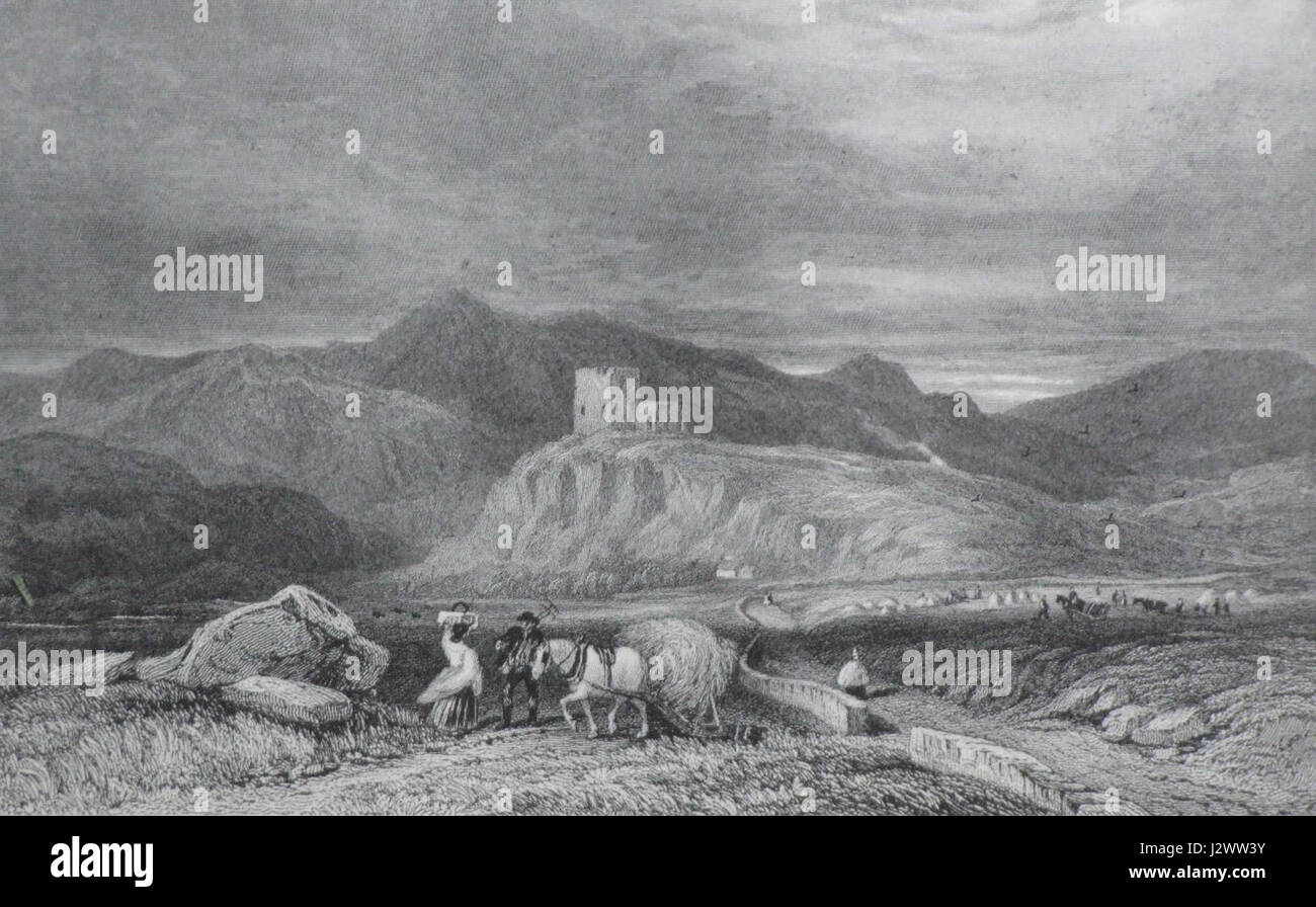 Le Castell Dolwyddelan est un château gallois du XIIIe siècle situé à Snowdonia, au pays de Galles. Connu pour son cadre pittoresque, il a été construit par le prince gallois Llywelyn le Grand et offre une vue sur les montagnes et les vallées environnantes. Banque D'Images