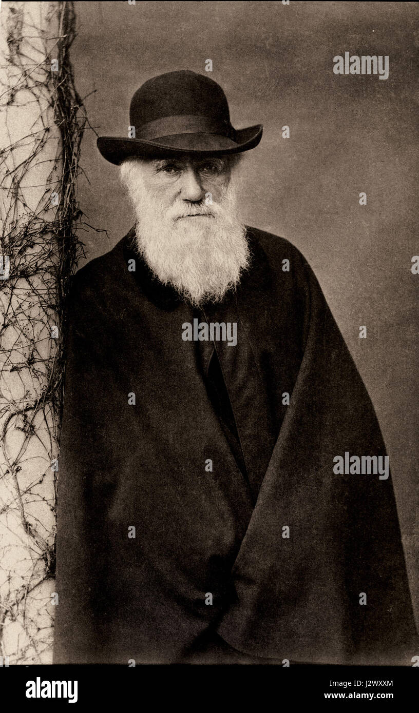 L'article de Charles Darwin Banque D'Images