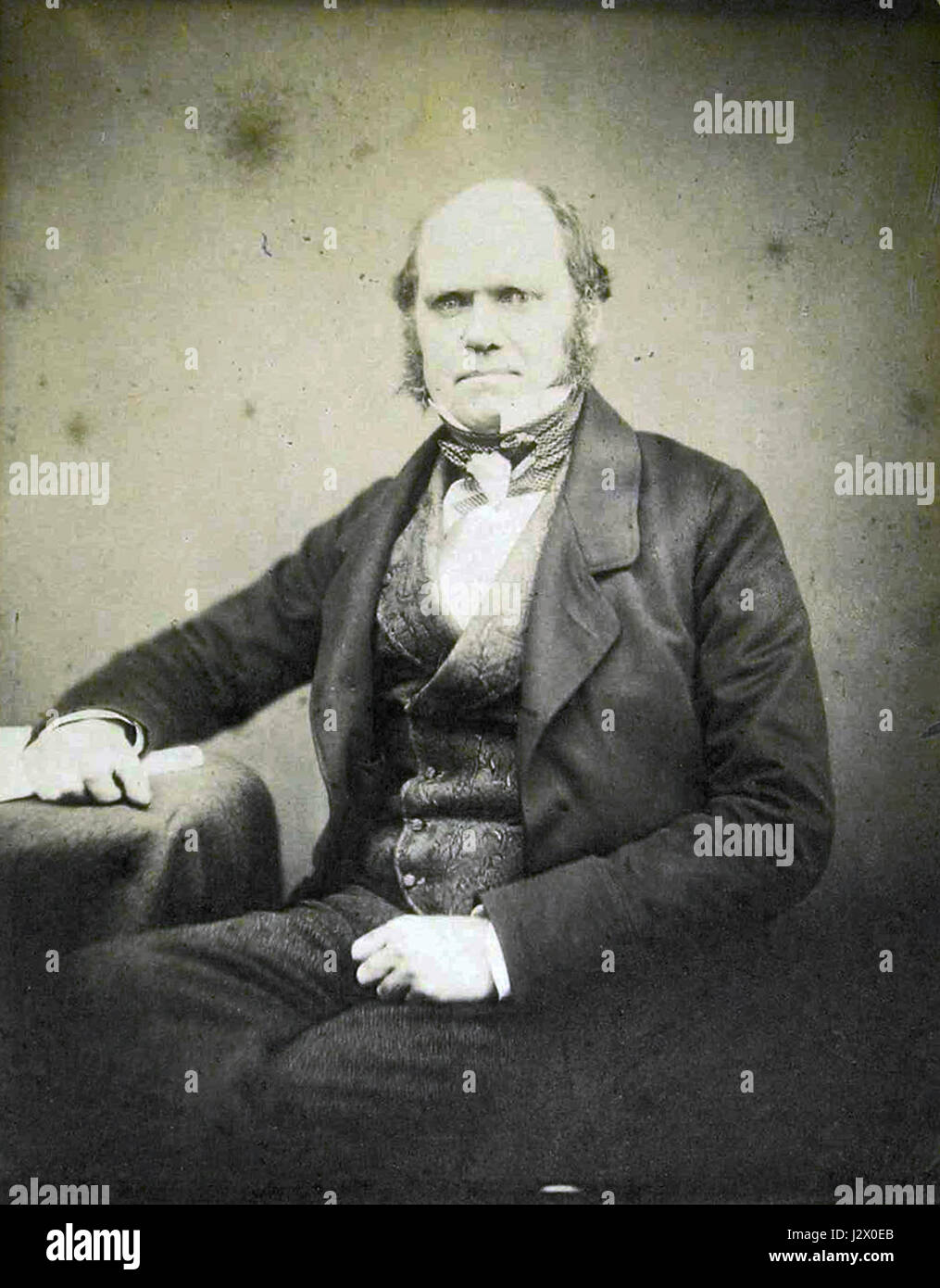 Cette photographie de Charles Darwin de 1855 capture le naturaliste britannique de renom au cours de sa carrière scientifique. Darwin est connu pour ses travaux novateurs sur l'évolution et la sélection naturelle, qui ont grandement influencé l'étude de la biologie et la théorie de l'évolution. Banque D'Images