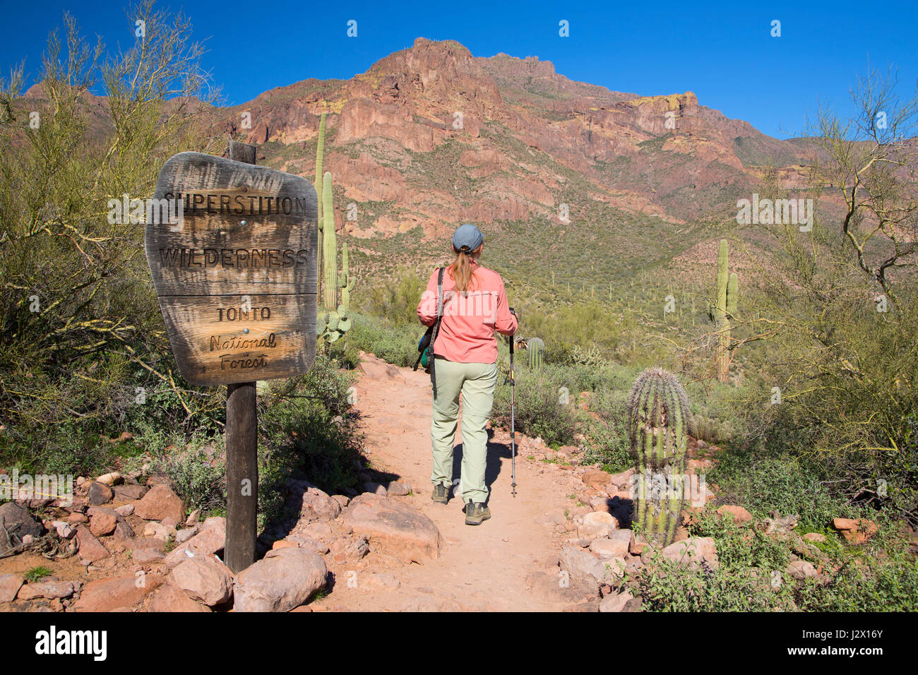 Frontière sauvage le long du sentier, signe hiéroglyphique Superstition Désert, forêt nationale de Tonto, Arizona Banque D'Images