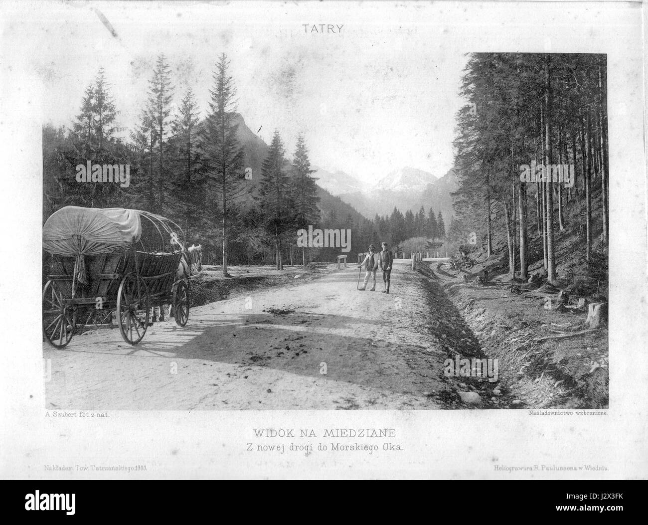 Cette image montre une vue de Miedziane, un sommet dans les montagnes des Tatras, de la route nouvellement construite à Morskie Oko, un célèbre lac en Pologne. La photo capture le paysage naturel époustouflant et le développement des voies d'accès dans la région. Banque D'Images