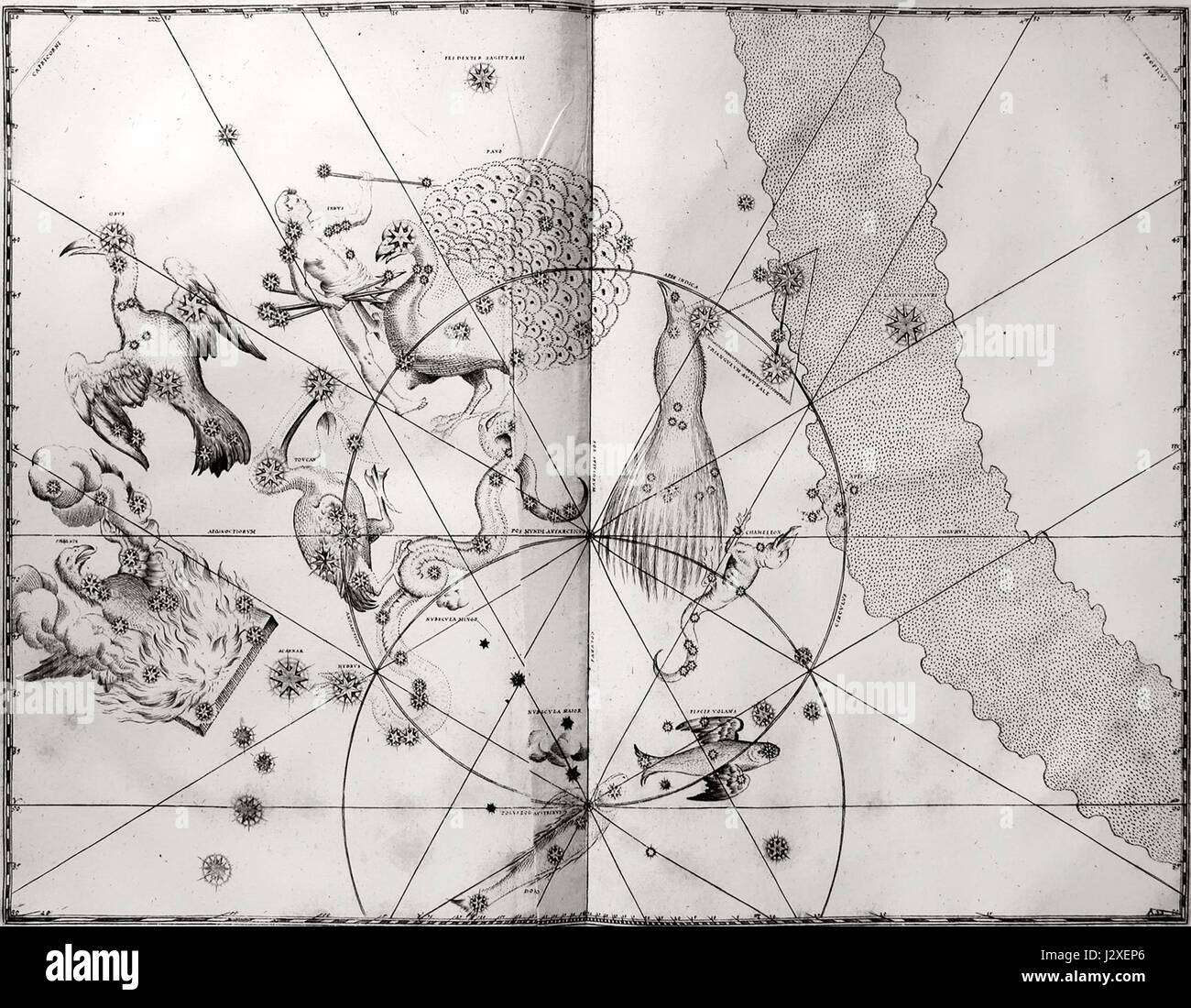 Bayer-1661-Uranometria-Leaf 49-Constellations Du Sud Banque D'Images
