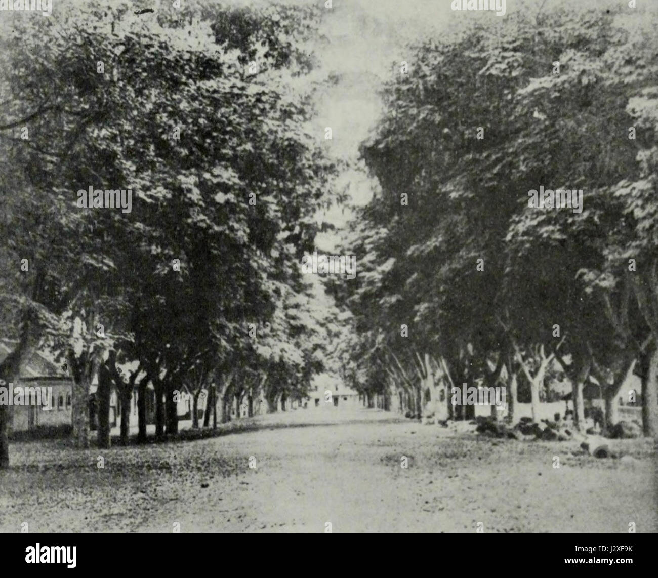 Avenue de Sainte Amélie, Papeete, c. 1910 Banque D'Images