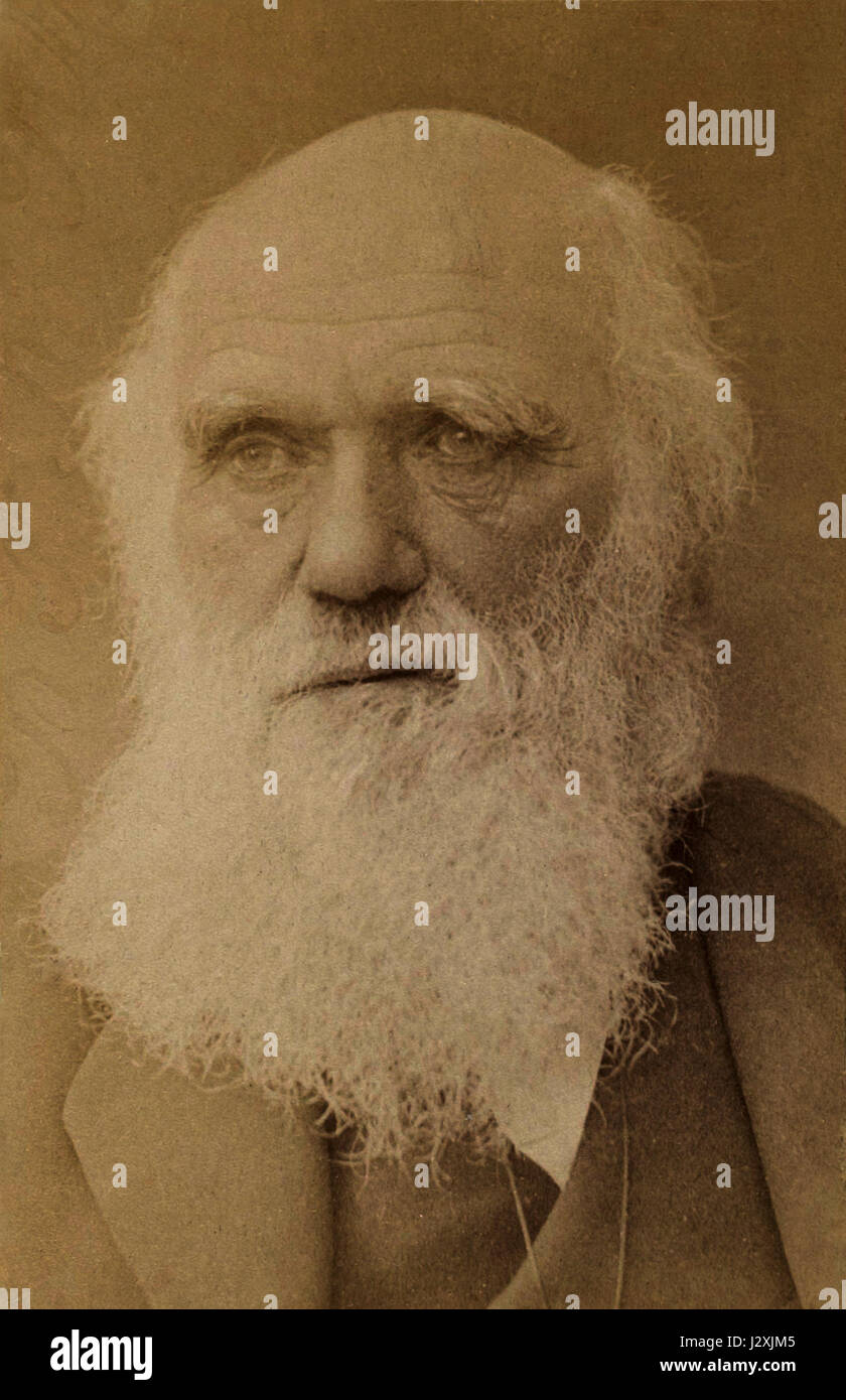 Ce portrait de Charles Darwin, capturé par Barraud vers 1881, présente le célèbre naturaliste anglais connu pour sa théorie de l'évolution. Les travaux de Darwin ont eu un impact profond sur le domaine de la biologie et sur notre compréhension de la sélection naturelle. Banque D'Images