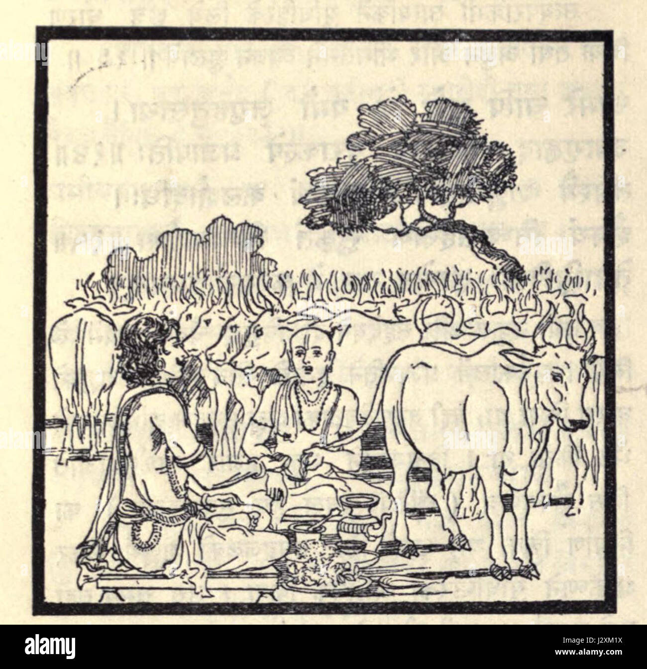 Cette scène historique représente Arnuna faisant don d'animaux aux brahmanes, un acte symbolisant la générosité et le respect de la communauté religieuse dans l'Inde ancienne. Il reflète les pratiques culturelles et religieuses de l'époque. Banque D'Images
