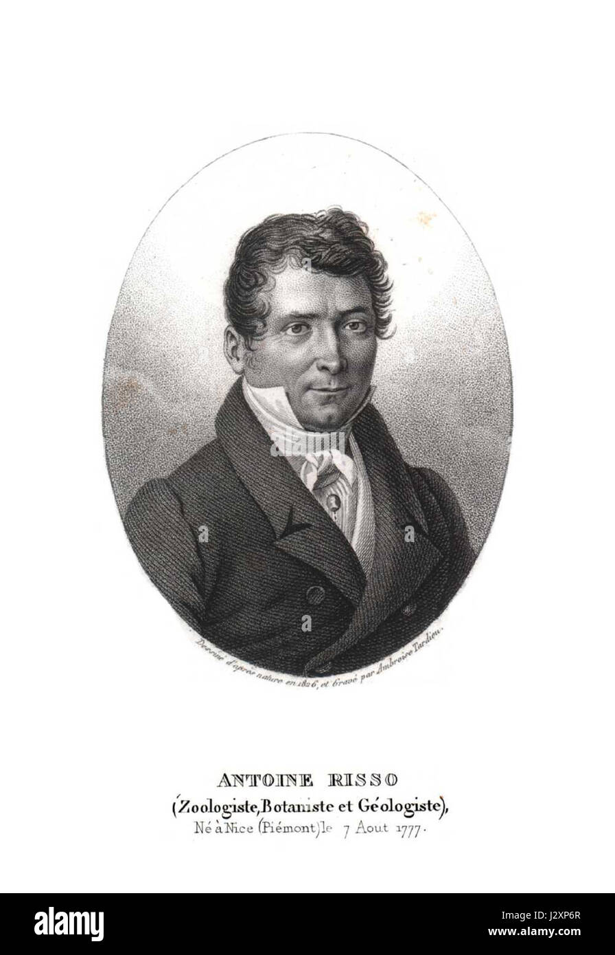 Ambroise TARDIEU26 Banque D'Images