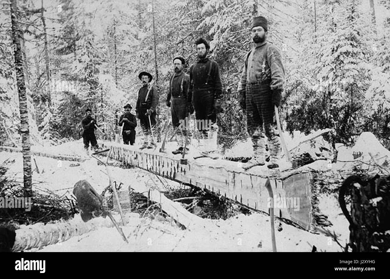 Booth Lumber Camp, situé près du lac Aylen en Ontario, Canada, était un camp d'exploitation forestière actif en 1895, faisant partie de l'industrie historique du bois du Canada à la fin du XIXe siècle. Banque D'Images