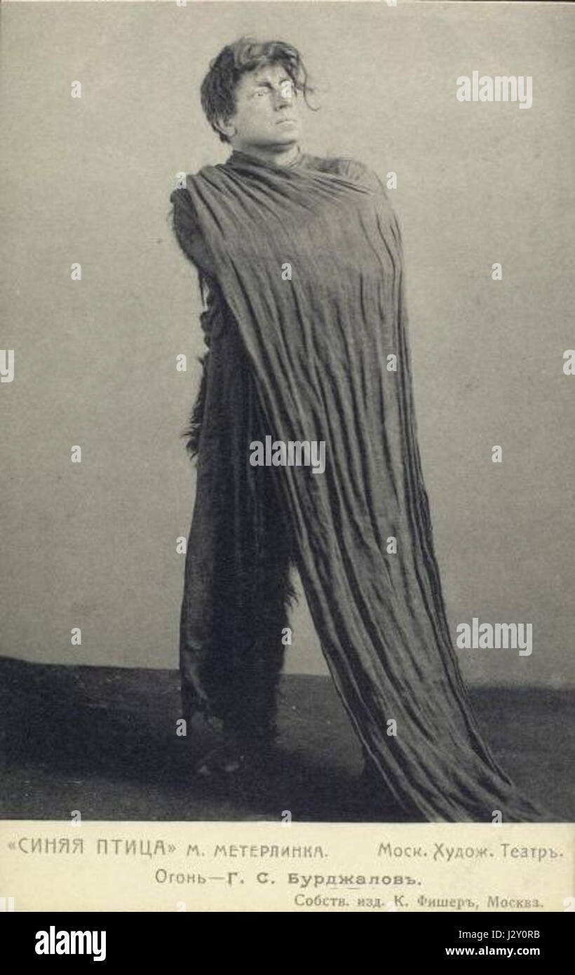 Burdzhalov l'Oiseau Bleu Banque D'Images