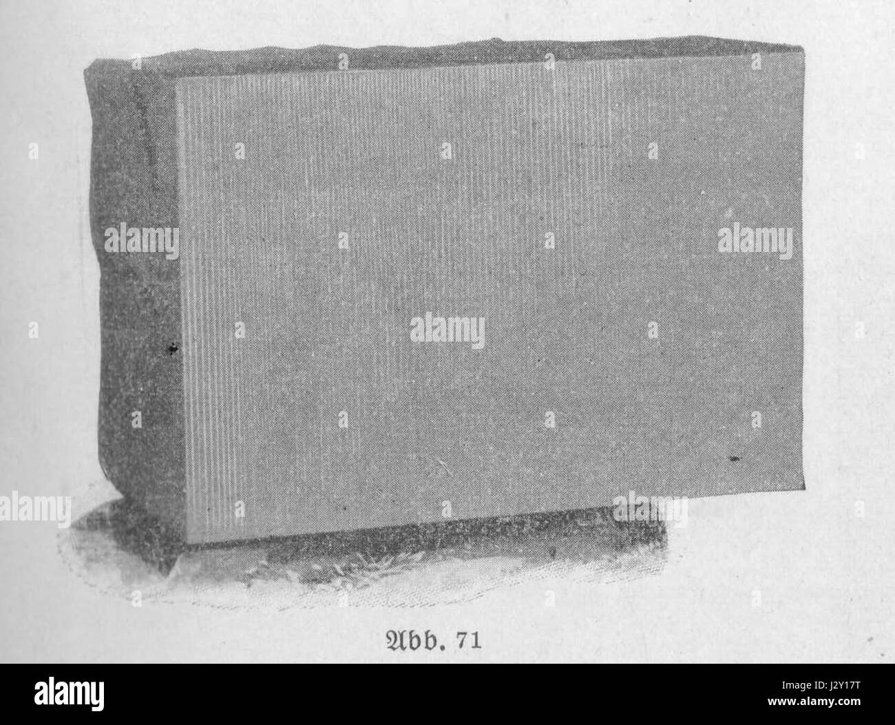 Burrer 1911, ABB. 071 Banque D'Images