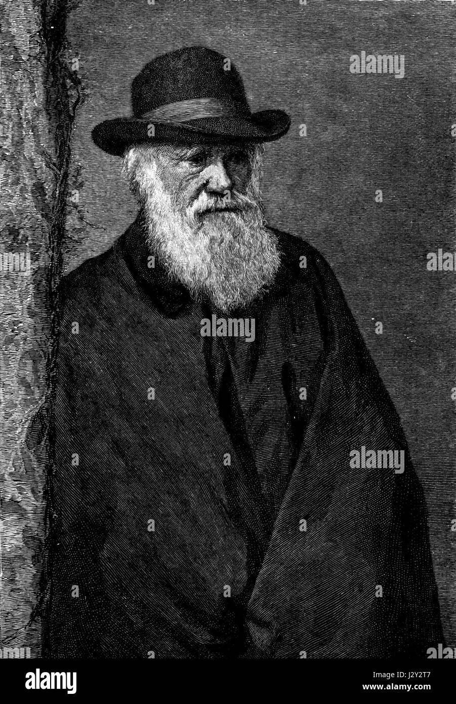 Cette photographie de Charles Darwin, prise par Elliott et Fry, capture le naturaliste et scientifique renommé, connu pour ses travaux novateurs sur l’évolution et la sélection naturelle. Banque D'Images