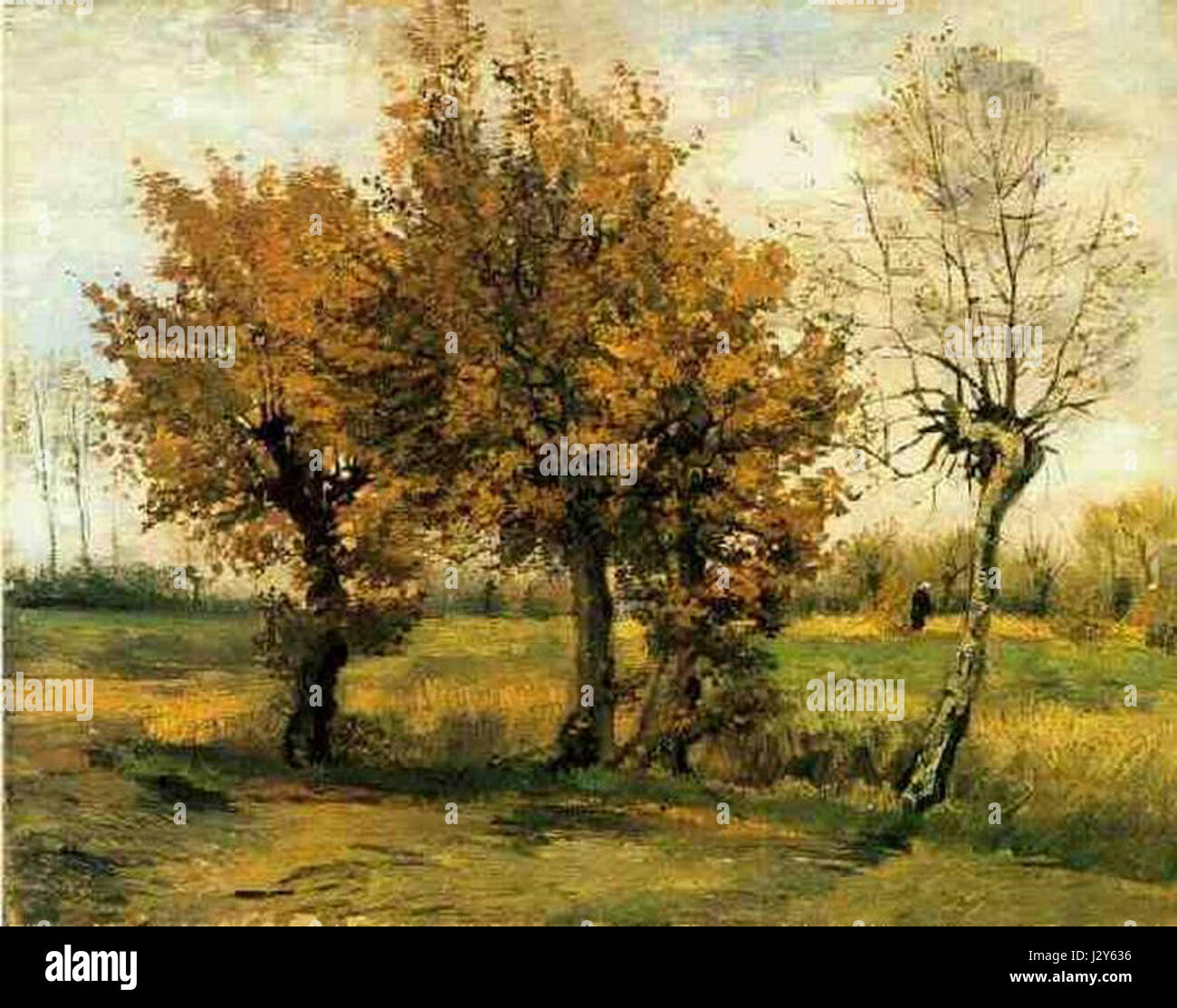 Autunno Alberi Vincent van Gogh Banque D'Images