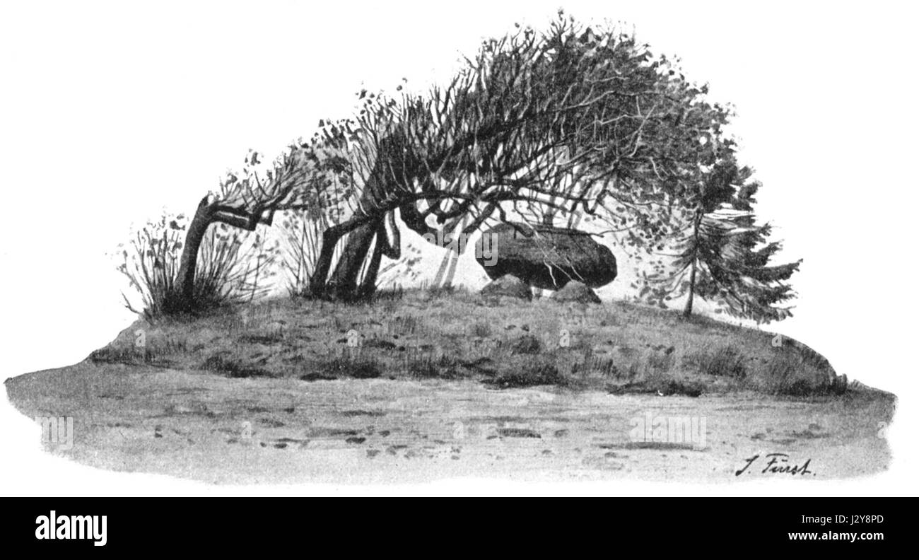 Albersdorf Opferstein 01 Banque D'Images