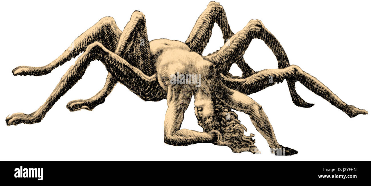 Arachné Banque D'Images