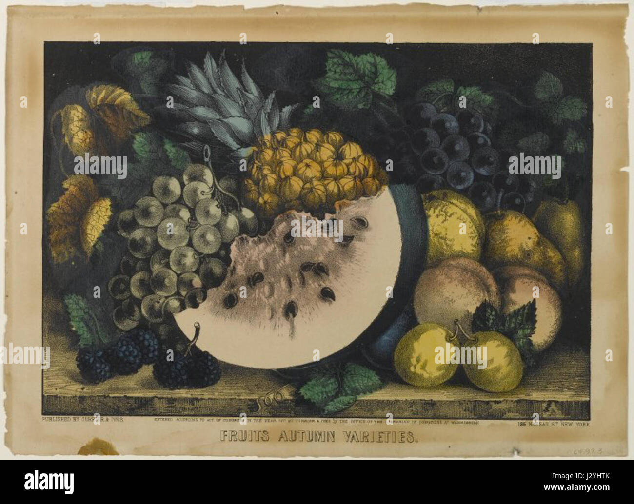 Le Musée de Brooklyn - Fruits Automne variétés - Currier Ives Banque D'Images