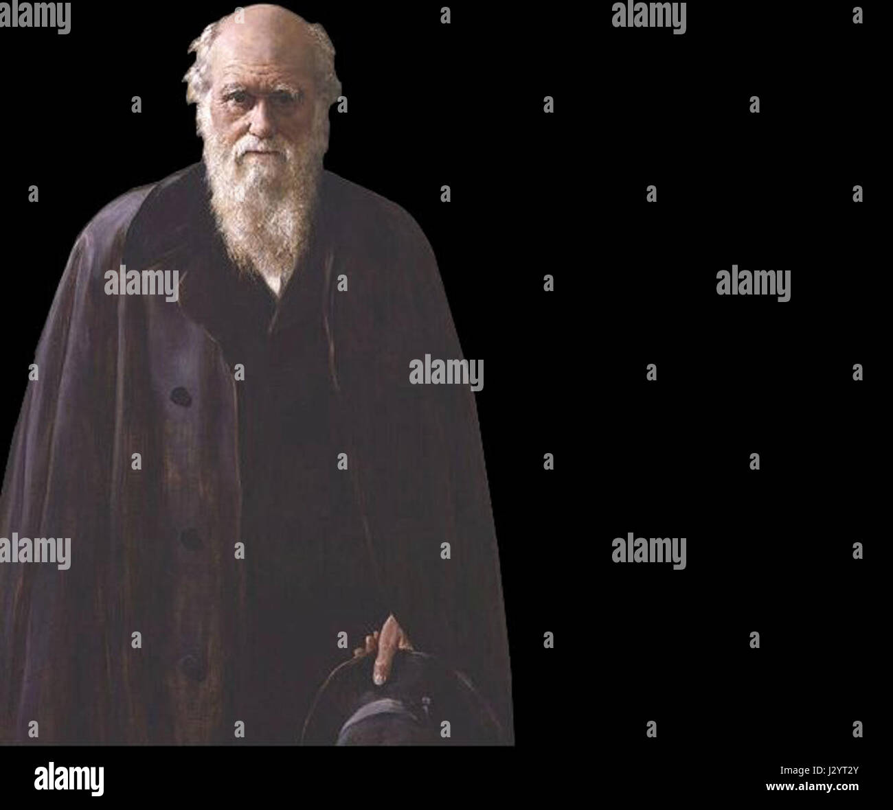 Portrait de Charles Darwin, naturaliste et biologiste de renom, célèbre pour ses contributions à la théorie de l'évolution par sélection naturelle. Banque D'Images