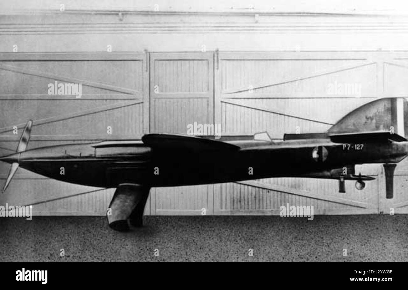 Le Piaggio P.7 est un avion italien des années 1930, connu pour son design distinctif et son rôle dans les débuts de l'histoire de l'aviation. Cette image en noir et blanc met en valeur son aérodynamisme et son savoir-faire en ingénierie aéronautique. Banque D'Images