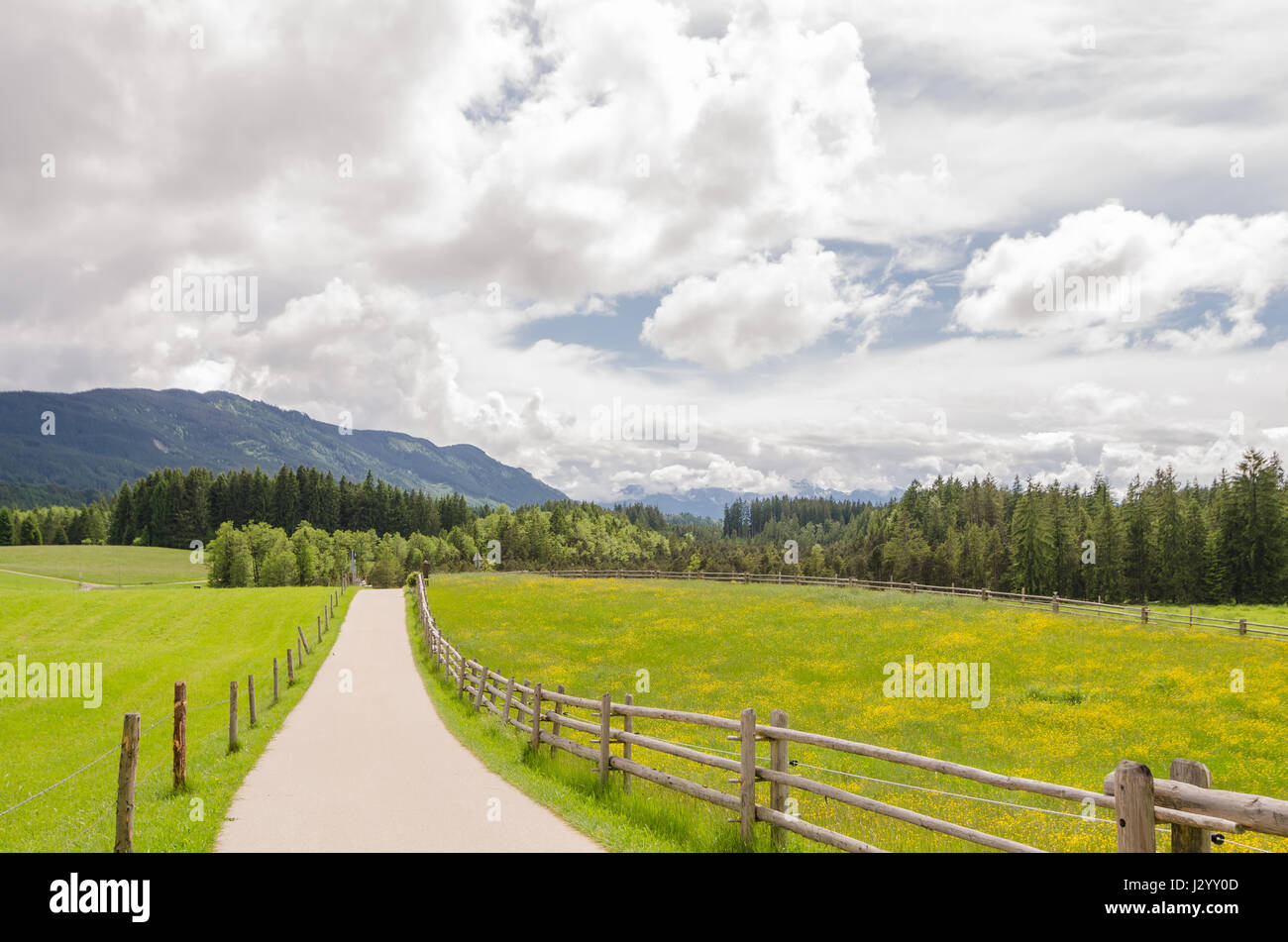 Route de campagne, en passant par un champ vert dans les Alpes bavaroises. L'Allemagne. Banque D'Images