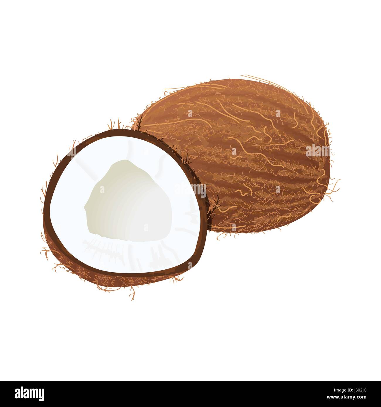 Coco juteux mûr isolé sur blanc. Ensemble et la moitié Illustration de Vecteur