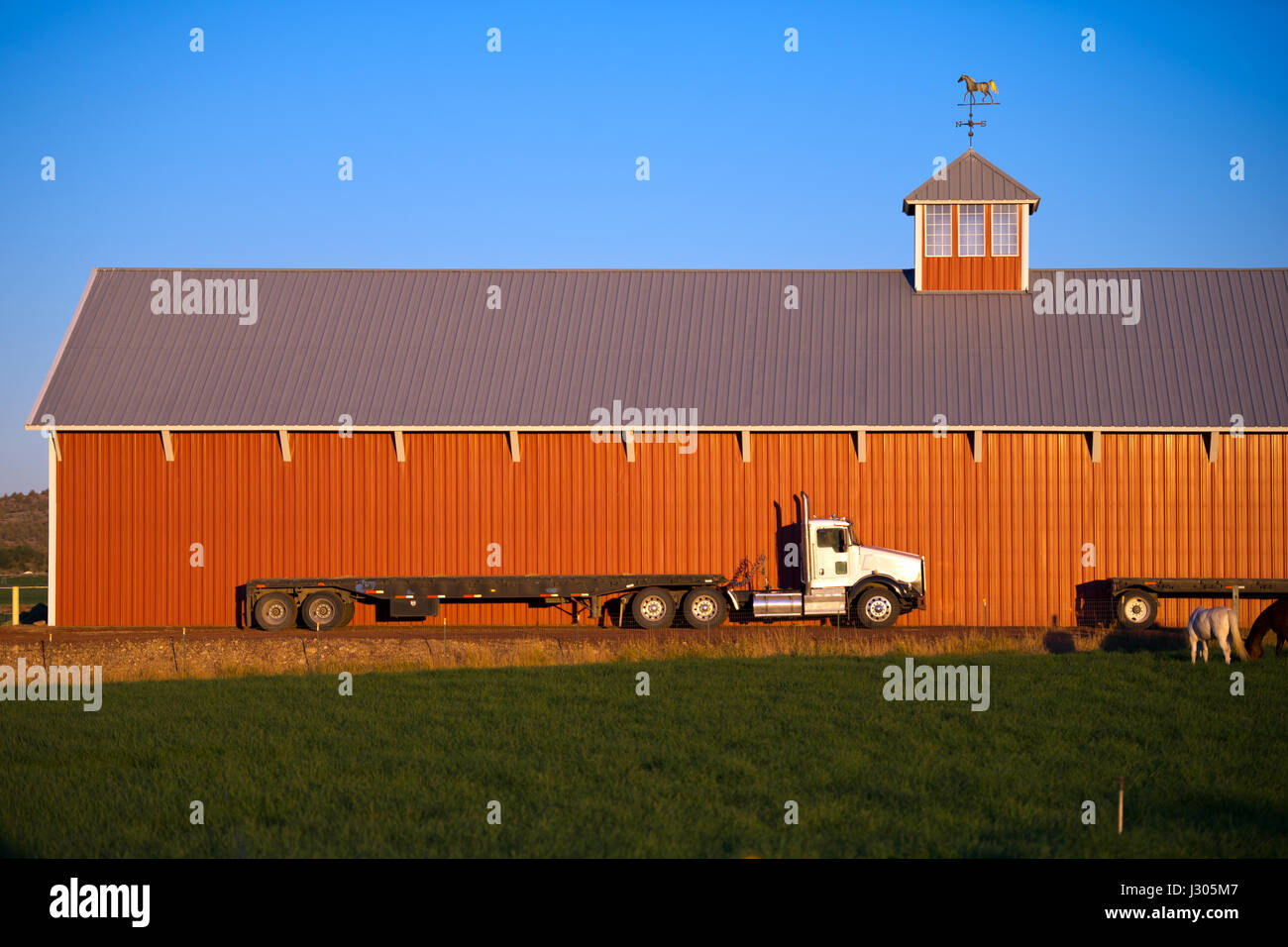 Grand Blanc camion semi travail gros camion comme une bête dans cette étable parmi les chevaux sous le mur est un grand d'équitation aux murs rouges et une tour de verre Banque D'Images