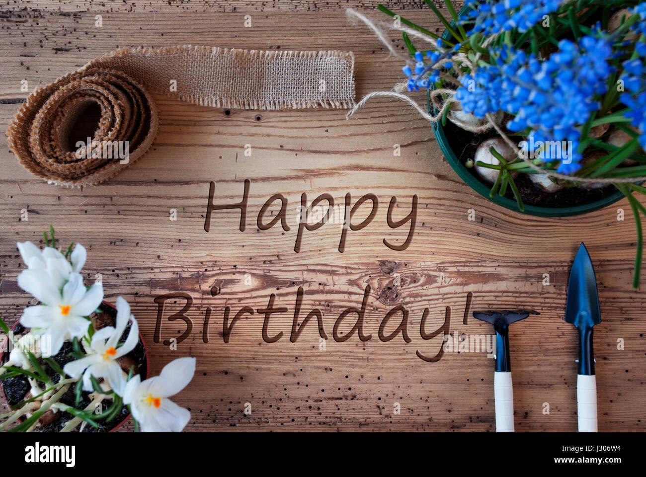 Texte Anglais Joyeux Anniversaire Comme Les Fleurs Du Printemps Muscaris Et Crocus Outils De Jardinage Comme Le Rateau Et Pelle Ruban De Tissu De Chanvre De Retour En Bois Photo Stock