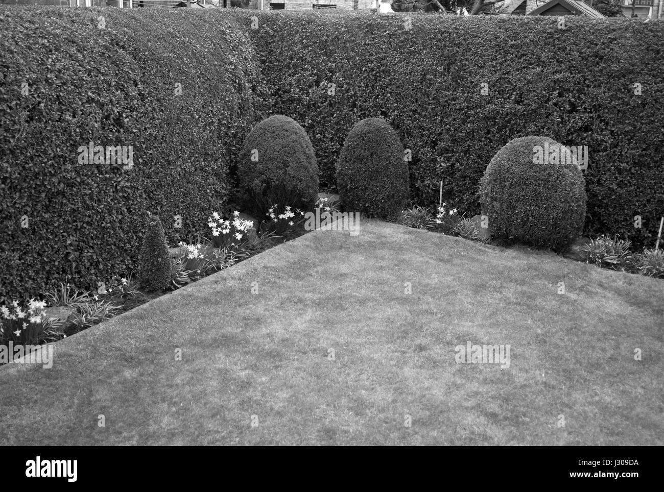 Jardin bien entretenu Banque D'Images