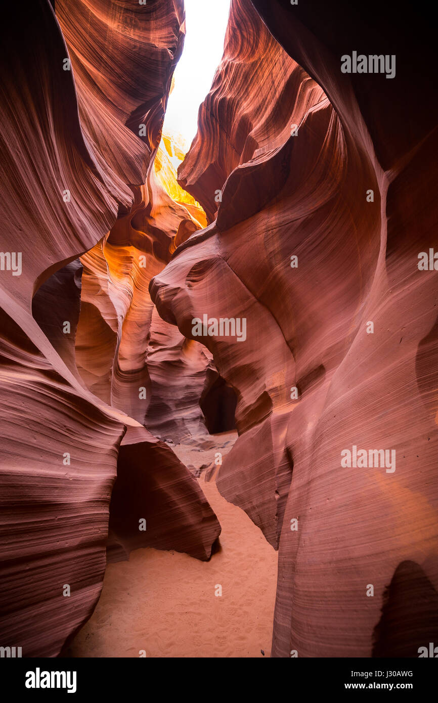 Des formations de grès étonnantes dans célèbre Antelope Canyon sur une journée ensoleillée avec ciel bleu près de la vieille ville de la page au lac Powell, Arizona, États-Unis Banque D'Images