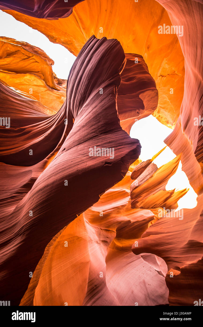 Des formations de grès étonnantes dans célèbre Antelope Canyon sur une journée ensoleillée avec ciel bleu près de la vieille ville de la page au lac Powell, Arizona, États-Unis Banque D'Images