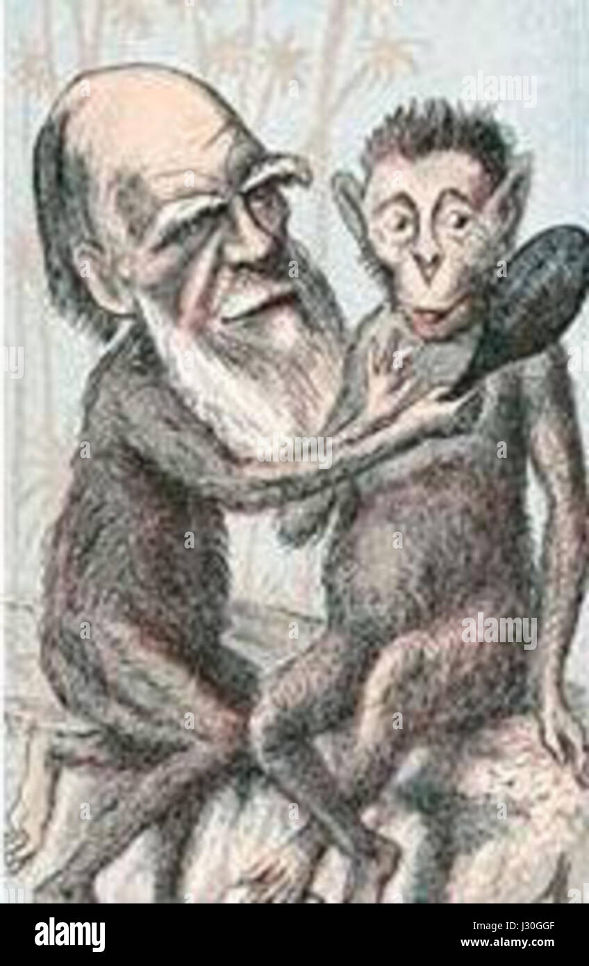 Cette caricature de Charles Darwin le représente d'une manière satirique ou exagérée, reflétant probablement les opinions publiques ou critiques de ses théories évolutionnaires au cours de sa vie. Darwin, naturaliste britannique, est surtout connu pour sa théorie de l'évolution par sélection naturelle. Banque D'Images
